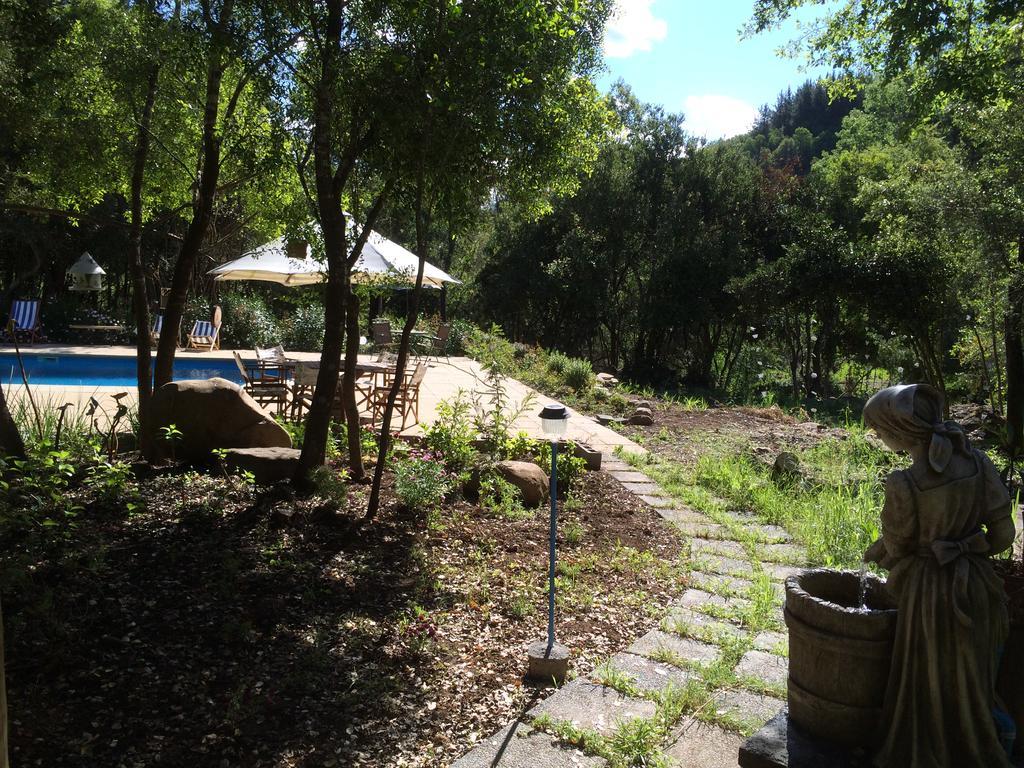 וילצ'ס Cabanas Rahue מראה חיצוני תמונה