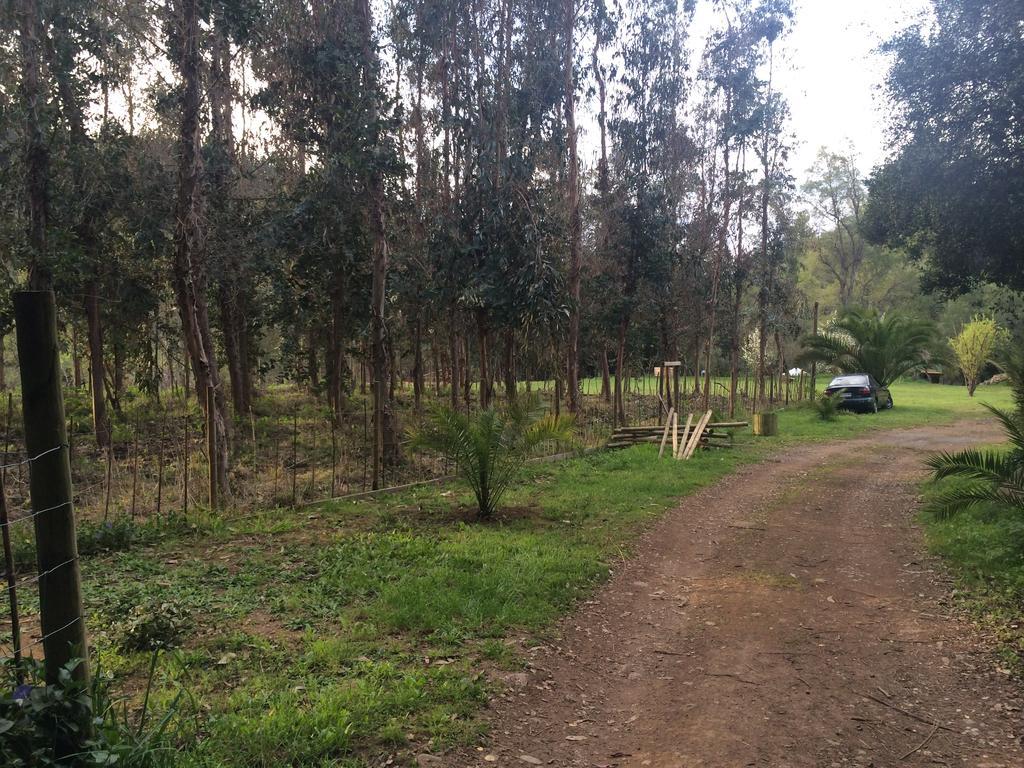 וילצ'ס Cabanas Rahue מראה חיצוני תמונה
